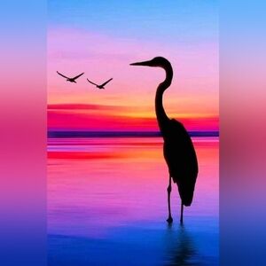 Meet your Posher, Sonya